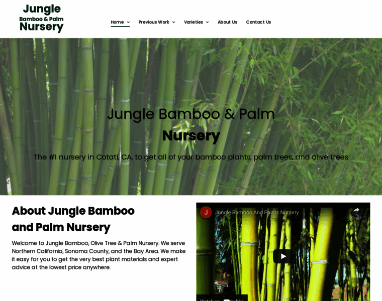 Junglebambooandpalms.com thumbnail