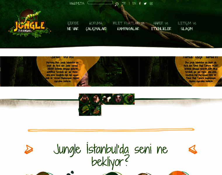 Jungleistanbul.com thumbnail