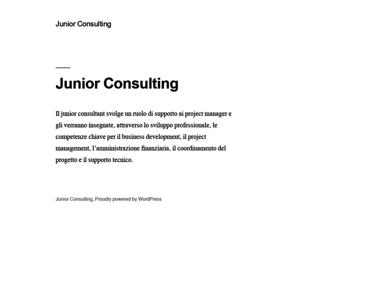 Juniorconsulting.it thumbnail