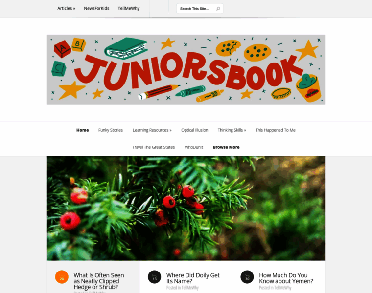 Juniorsbook.com thumbnail