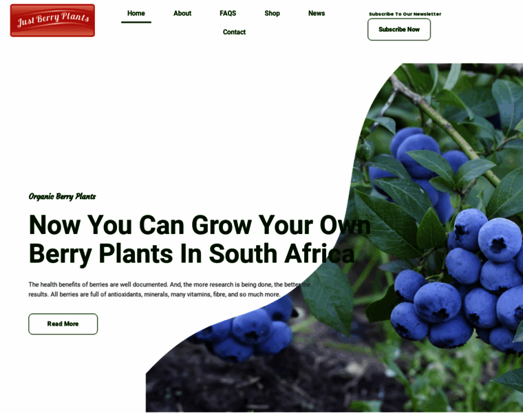 Justberryplants.co.za thumbnail
