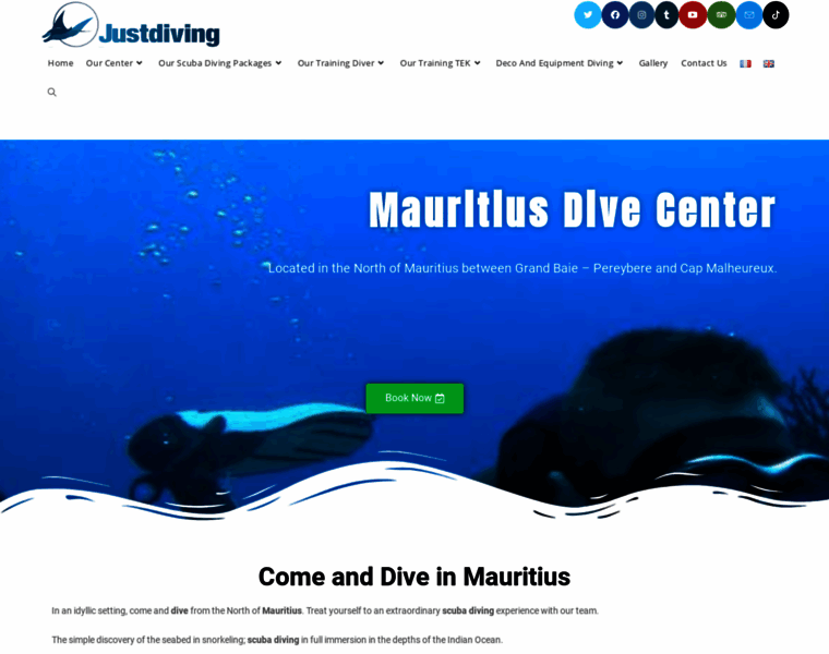 Justdivingmauritius.com thumbnail