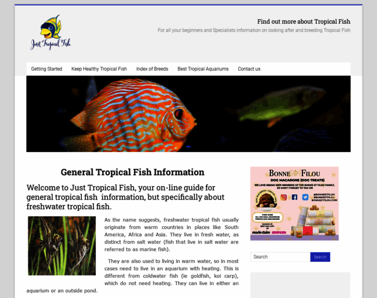 Justtropicalfish.com thumbnail