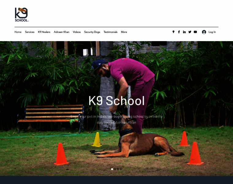 K9school.in thumbnail
