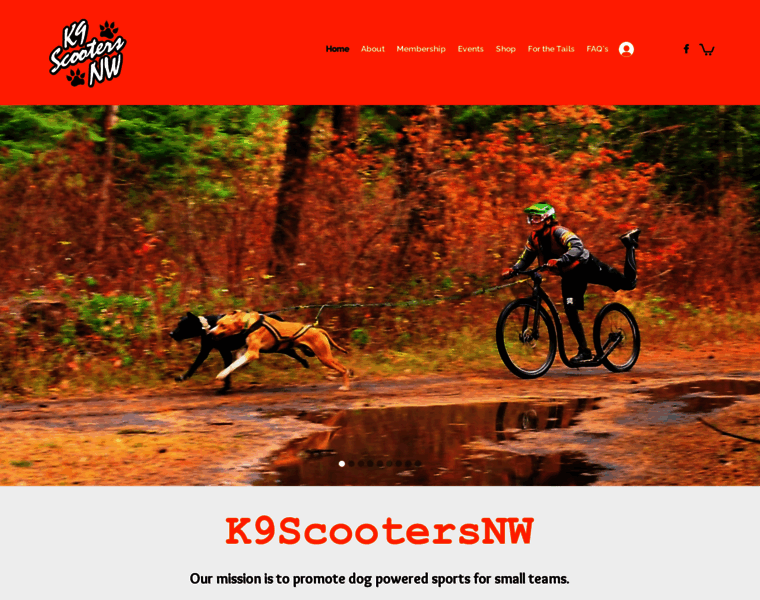K9scootersnw.org thumbnail