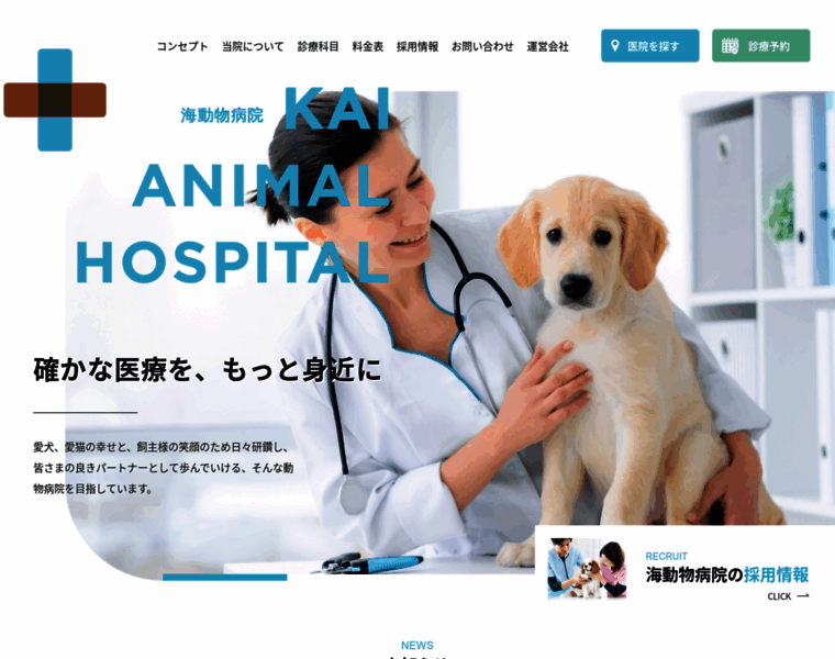 Kai-clinic.jp thumbnail