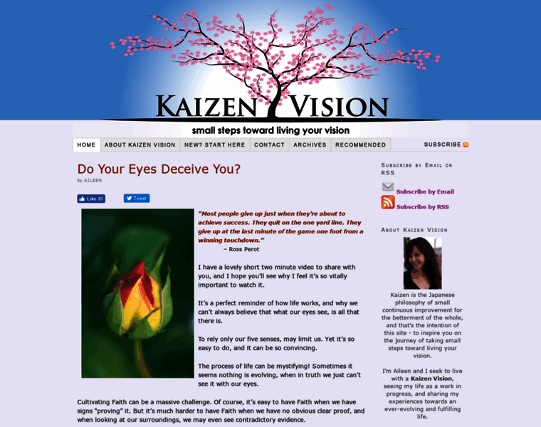 Kaizenvision.com thumbnail