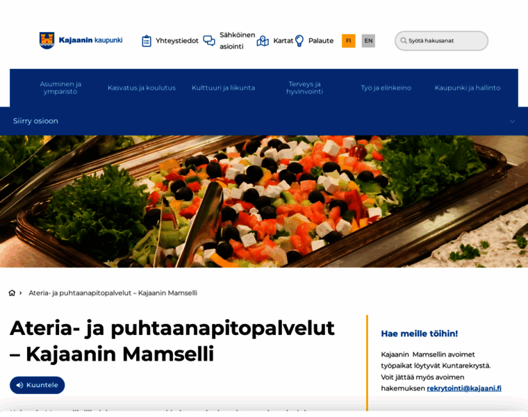 Kajaaninmamselli.fi thumbnail
