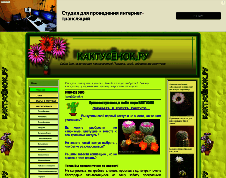 Kaktusenok-ru.okis.ru thumbnail