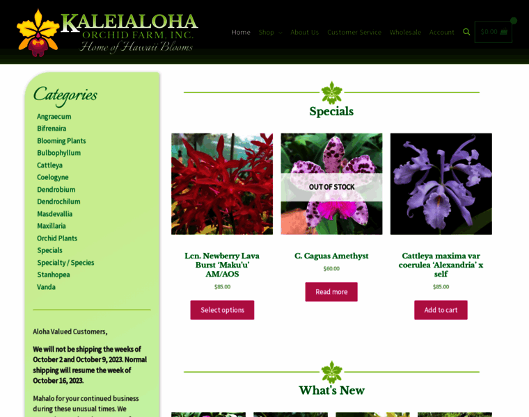 Kaleialoha.com thumbnail