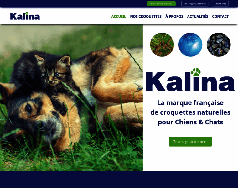 Kalina.fr thumbnail