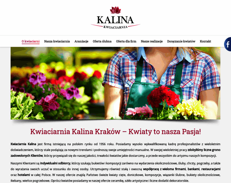 Kalina.krakow.pl thumbnail