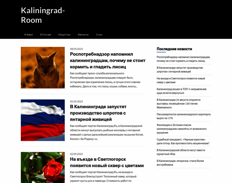 Kaliningrad-room.ru thumbnail
