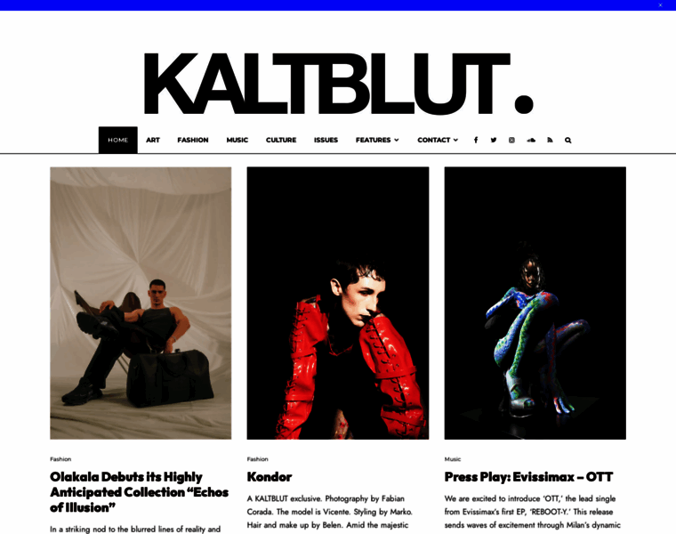 Kaltblut-magazine.com thumbnail