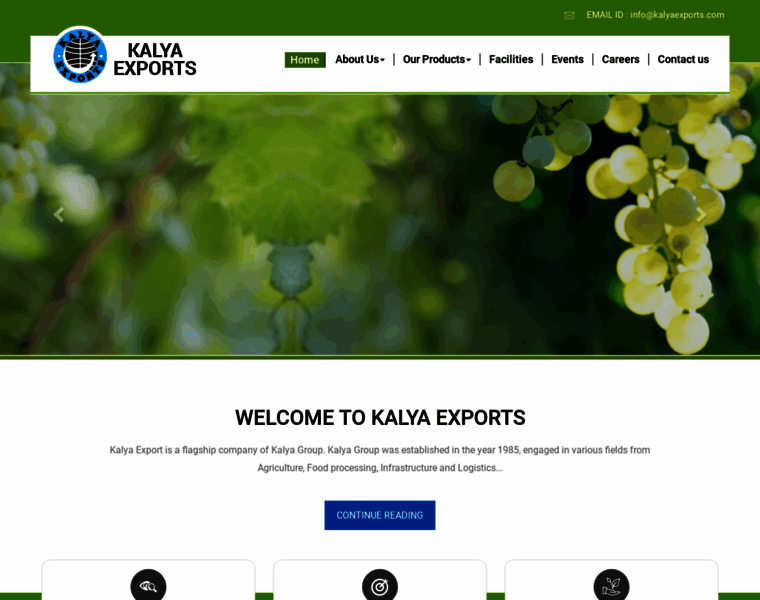 Kalyaexports.com thumbnail