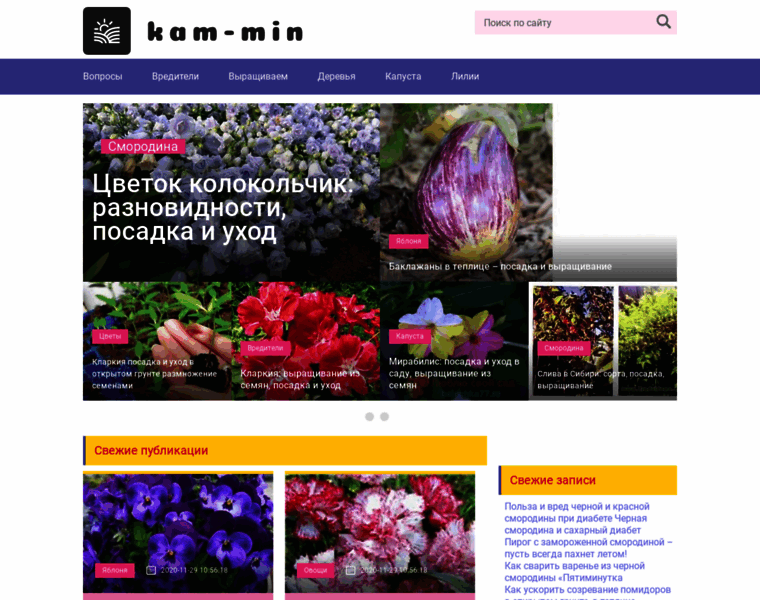 Kam-min.ru thumbnail