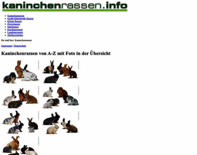 Kaninchenrassen.info thumbnail