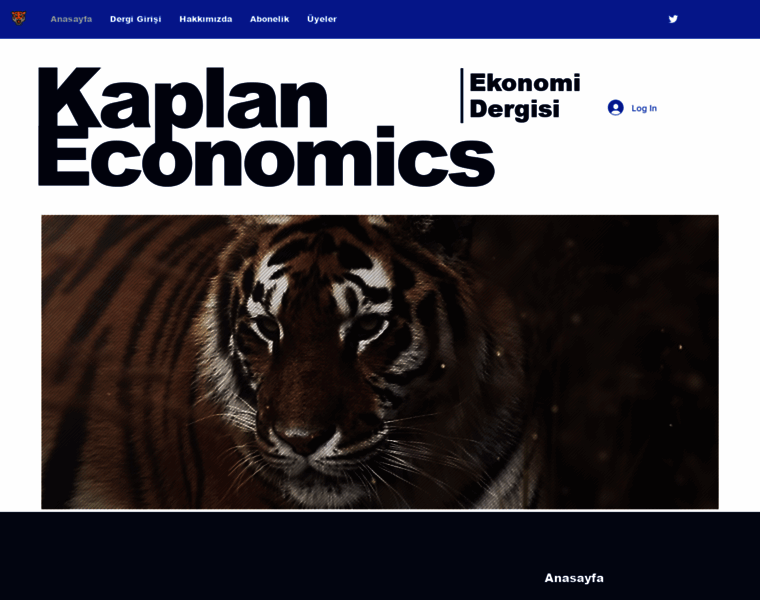 Kaplaneconomics.com thumbnail