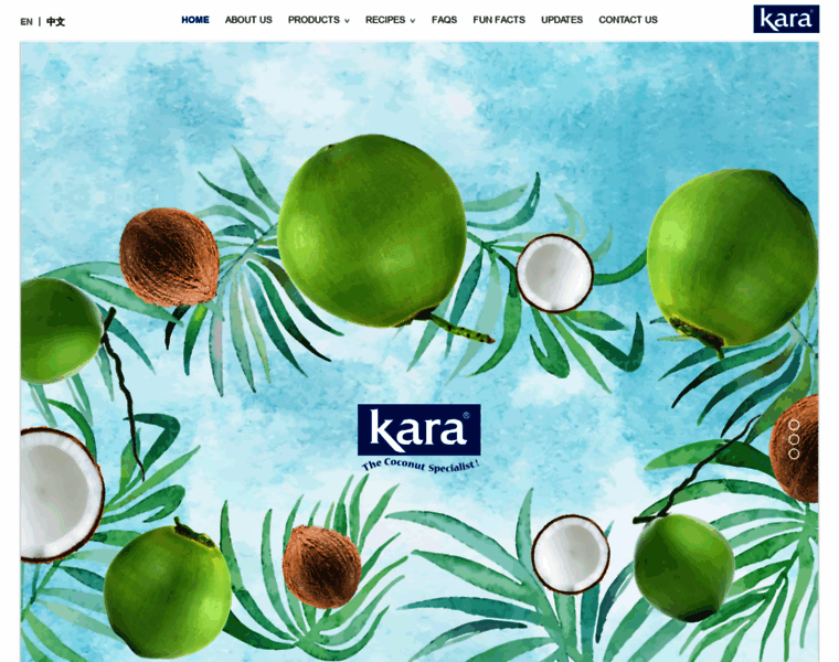 Kara-coconut.com thumbnail