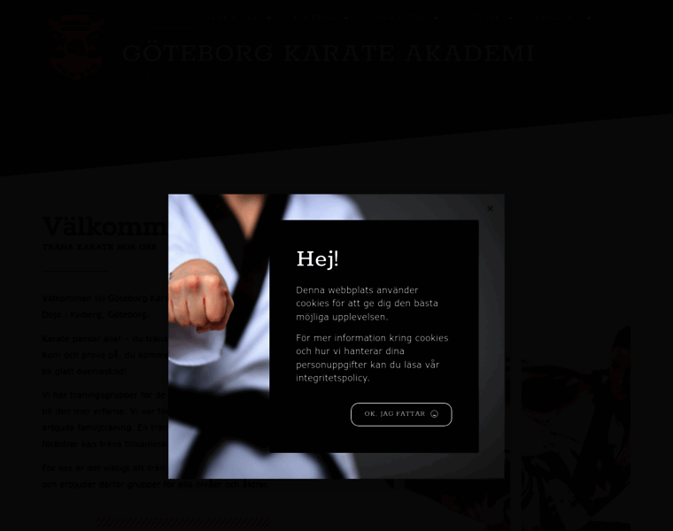 Karateakademi.se thumbnail