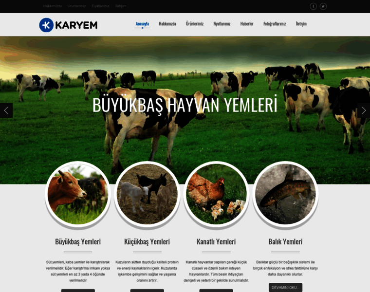 Karyem.com thumbnail