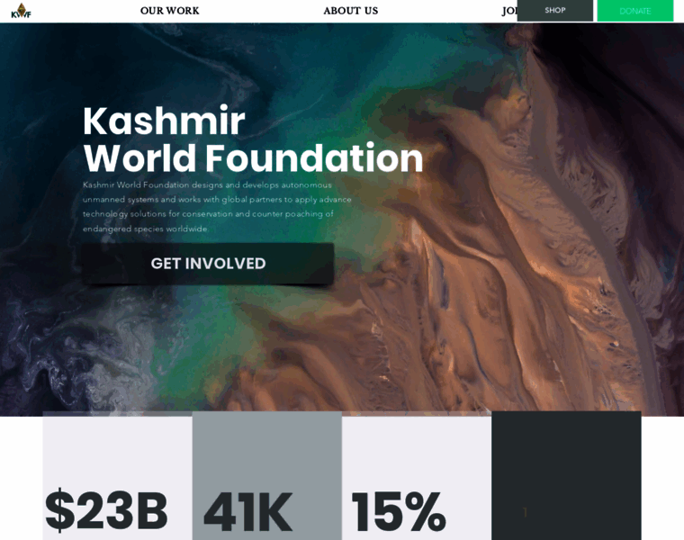 Kashmirworldfoundation.org thumbnail