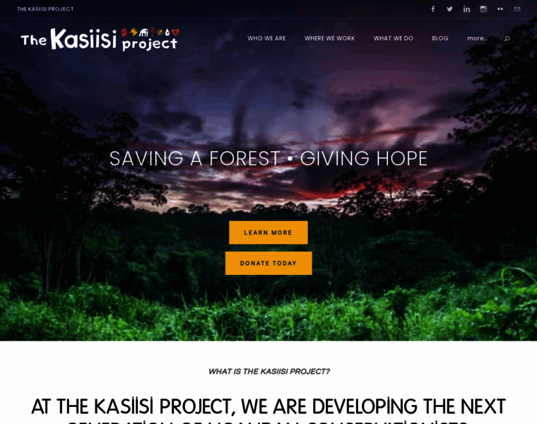 Kasiisiproject.org thumbnail