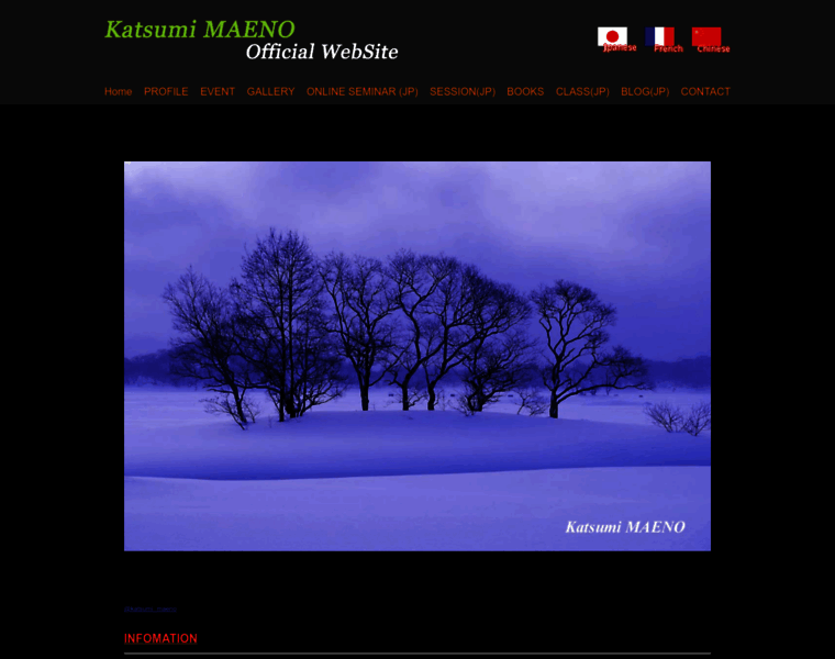 Katsumi-maeno.com thumbnail