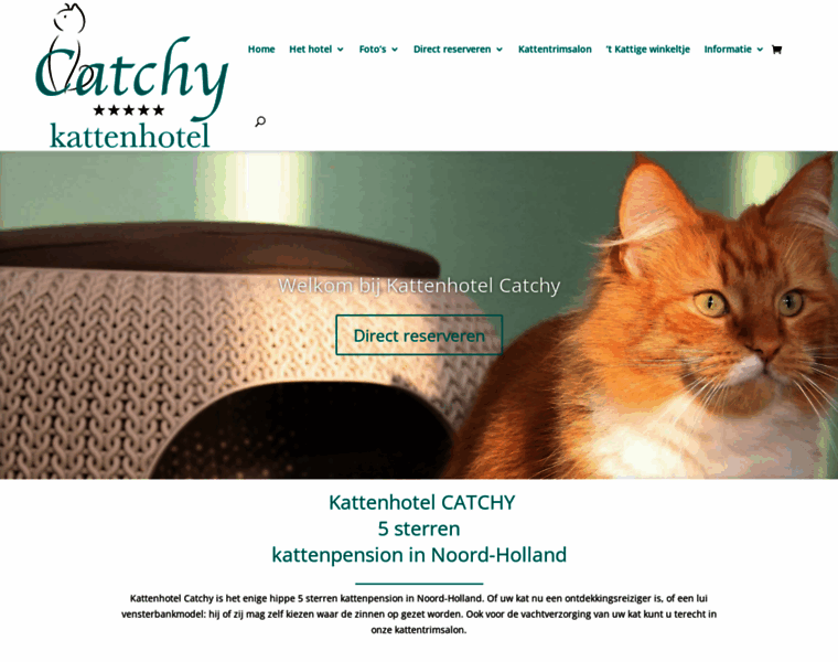 Kattenhotelcatchy.nl thumbnail