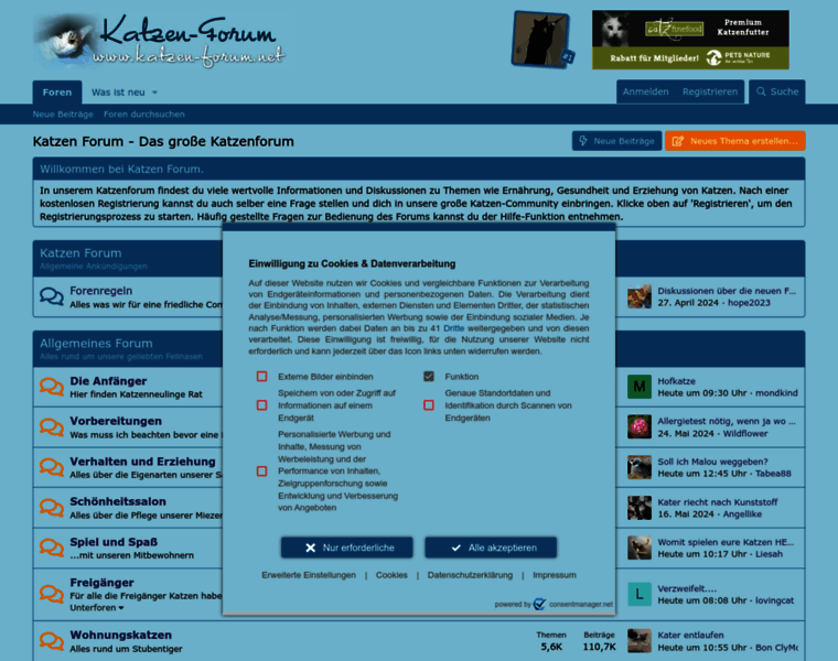 Katzen-forum.net thumbnail