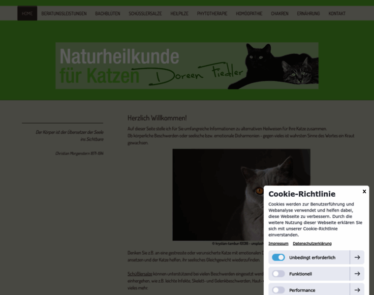 Katzen-naturheilkunde.de thumbnail