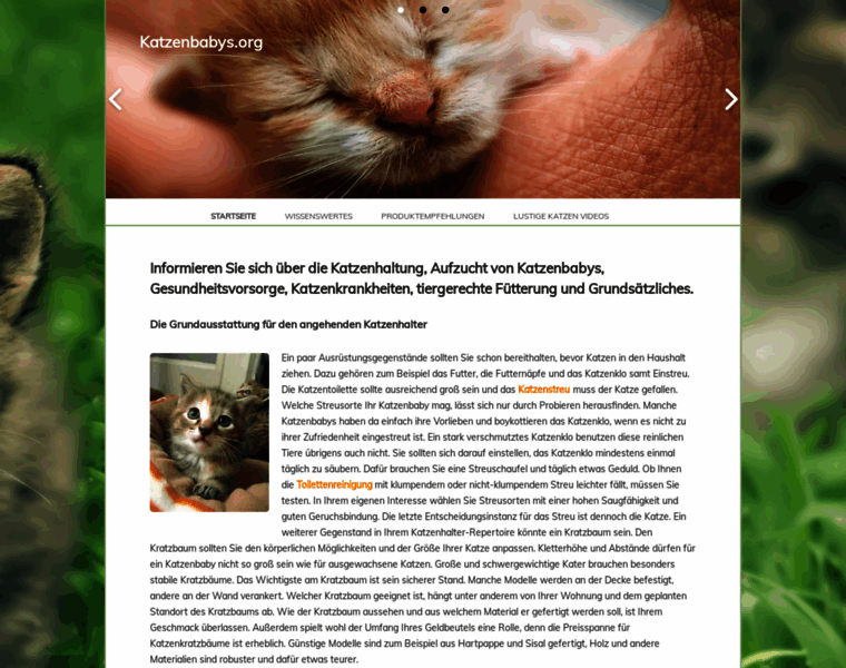 Katzenbabys.org thumbnail