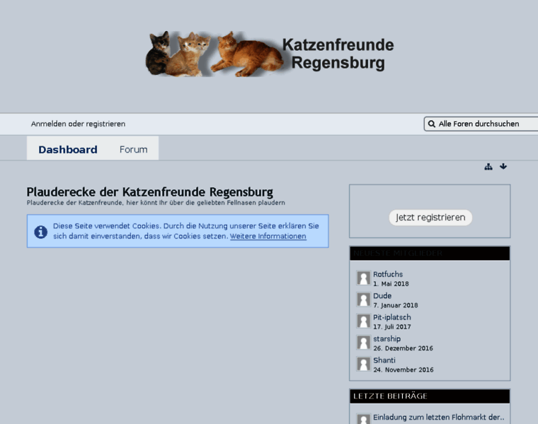 Katzenfreunde-regensburg.de thumbnail