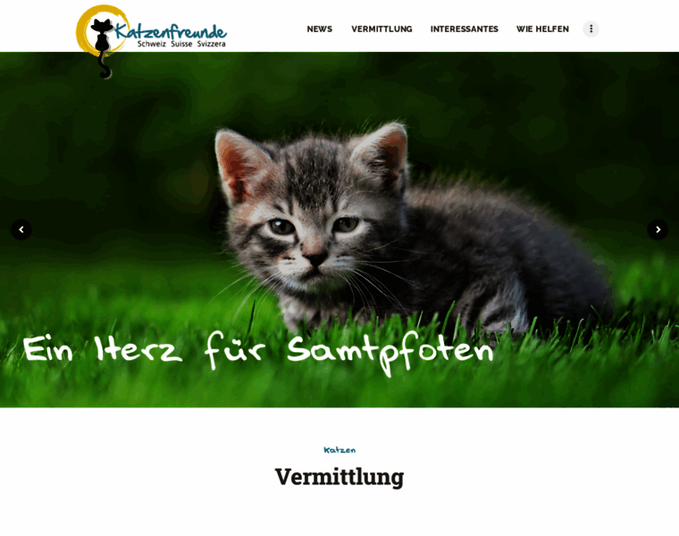 Katzenfreunde-schweiz.ch thumbnail