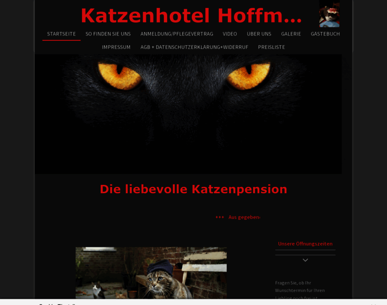 Katzenhotel-hoffmann.de thumbnail