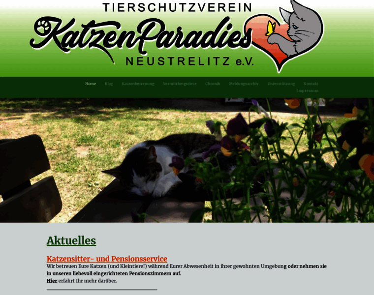 Katzenparadiesneustrelitz.com thumbnail