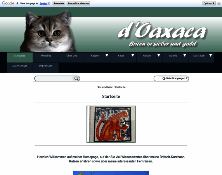 Katzenzucht-oaxaca.de thumbnail