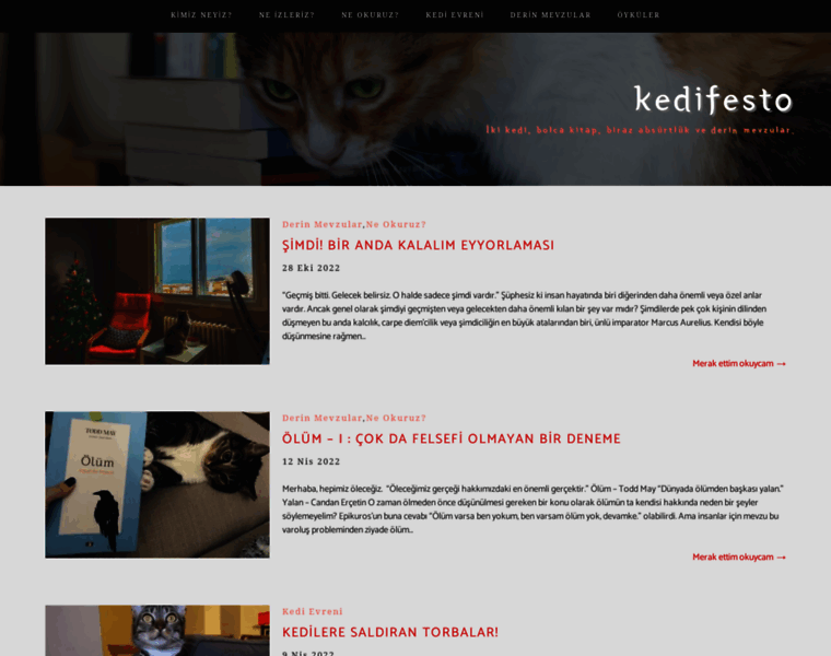 Kedifesto.com thumbnail