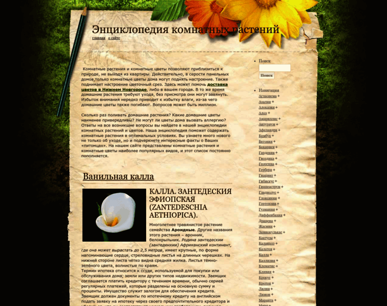 Keepflowers.ru thumbnail