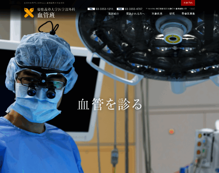 Keio-vascularsurgery.com thumbnail