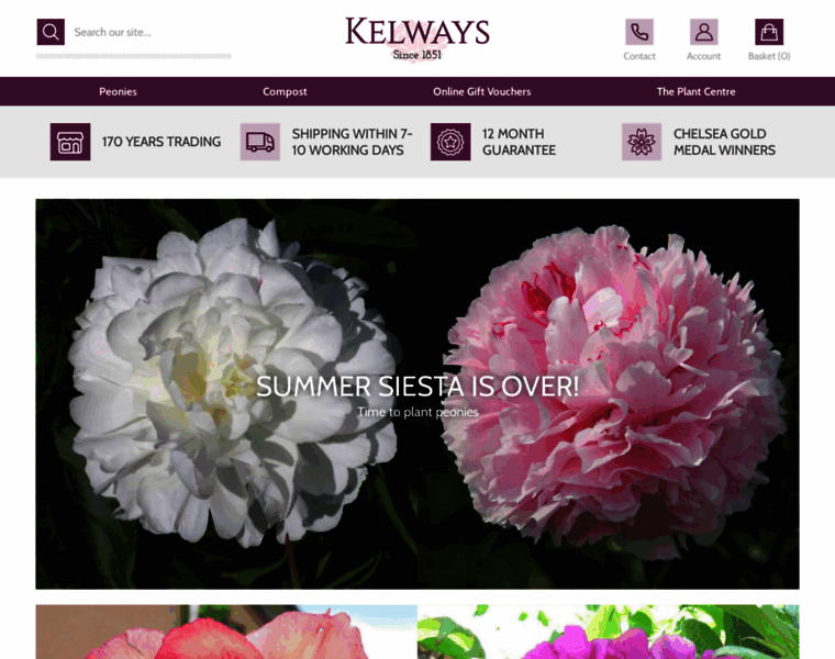 Kelways.co.uk thumbnail