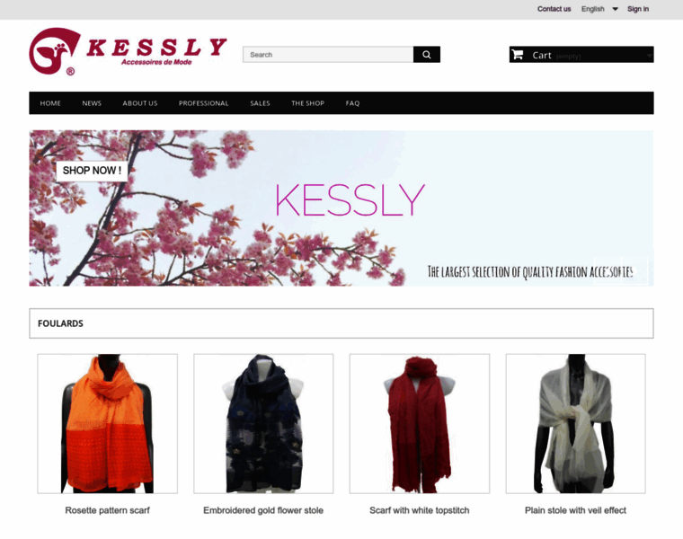 Kessly.com thumbnail