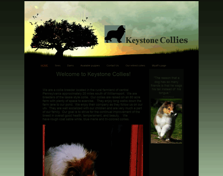 Keystonecollies.com thumbnail