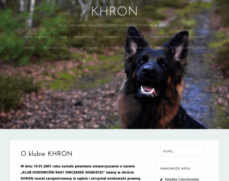 Khron.pl thumbnail