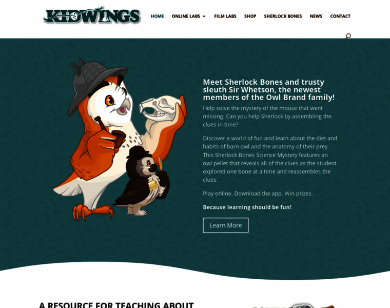 Kidwings.com thumbnail