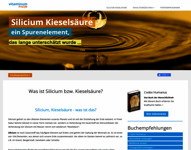 Kieselsaeure-silicium.com thumbnail