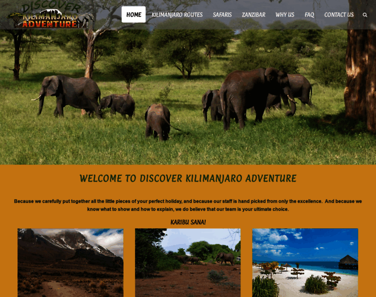 Kilimanjarodiscover.com thumbnail