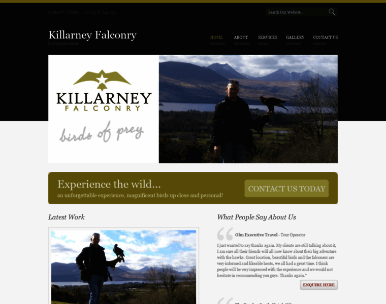 Killarneyfalconry.com thumbnail