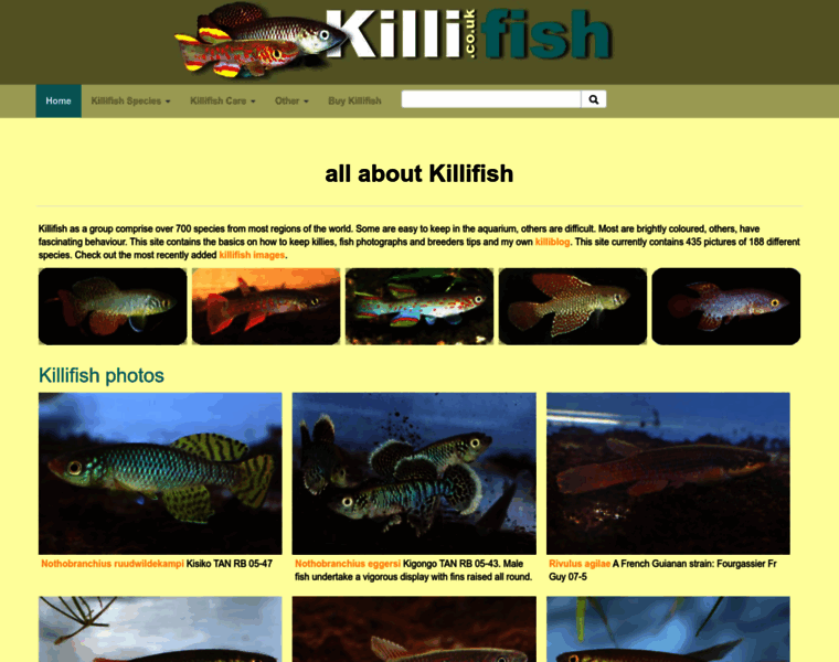 Killi.co.uk thumbnail