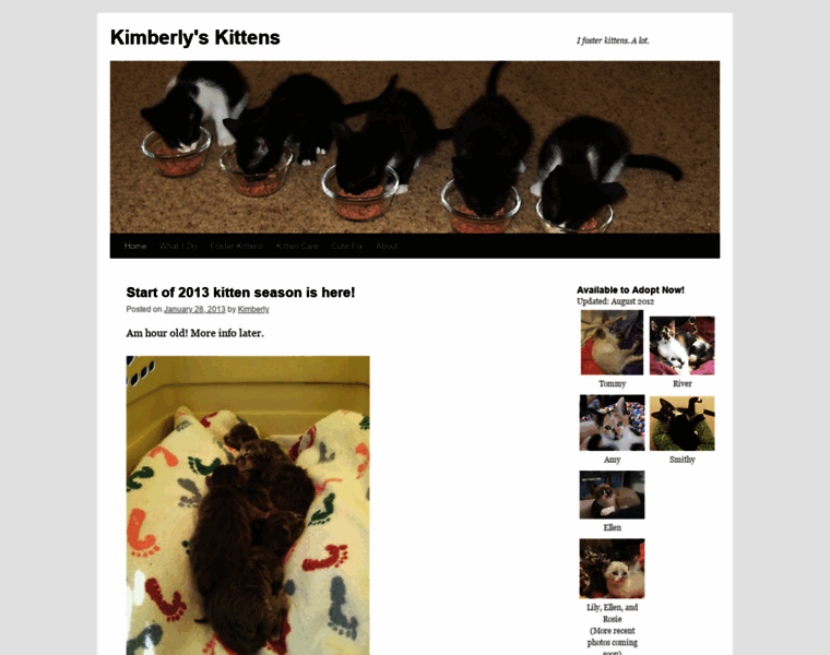 Kimberlyskittens.com thumbnail